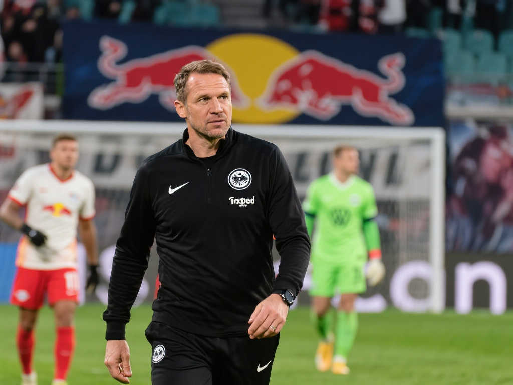 两位明星选 两位明星选